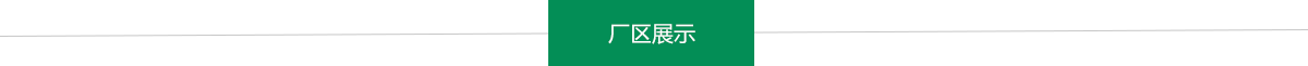 成功案例